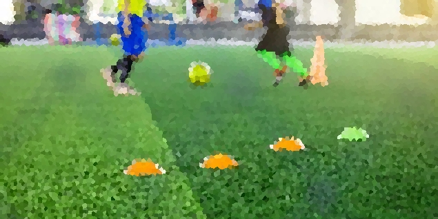 Ausbildung für Sportwetten